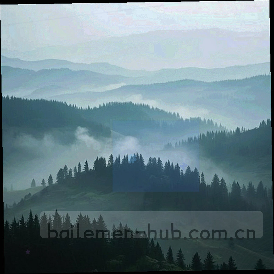 赛璐珞筹码与卡牌的局部特写，边缘光泽清晰，背景为墨绿绒面材质